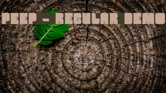 Peep - Regular Demo Example 1