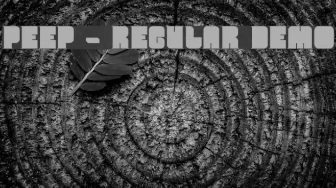 Peep - Regular Demo Font examples