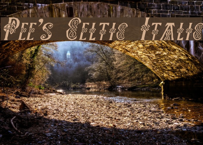 Pee's Celtic Italic Font examples