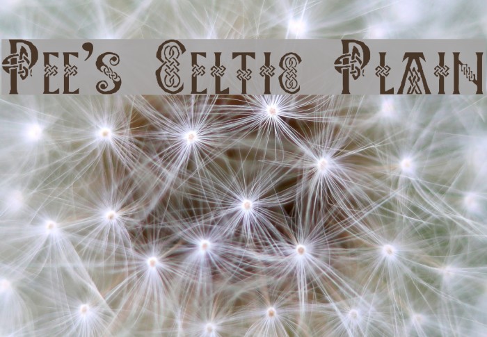 Pee's Celtic Plain Font examples