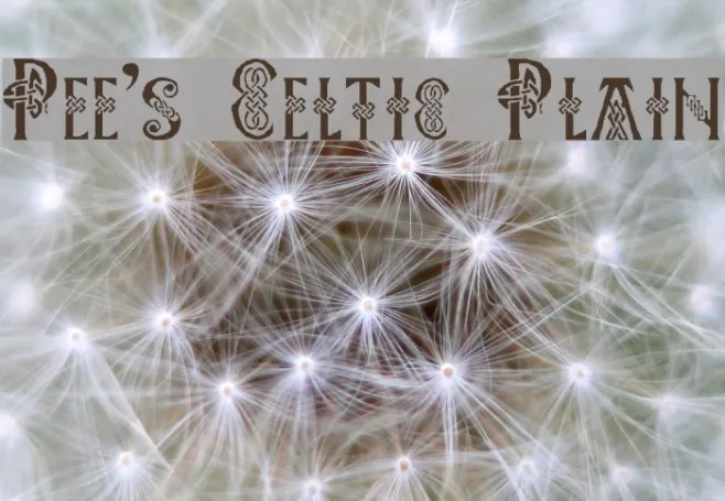Pee's Celtic Plain Example 2