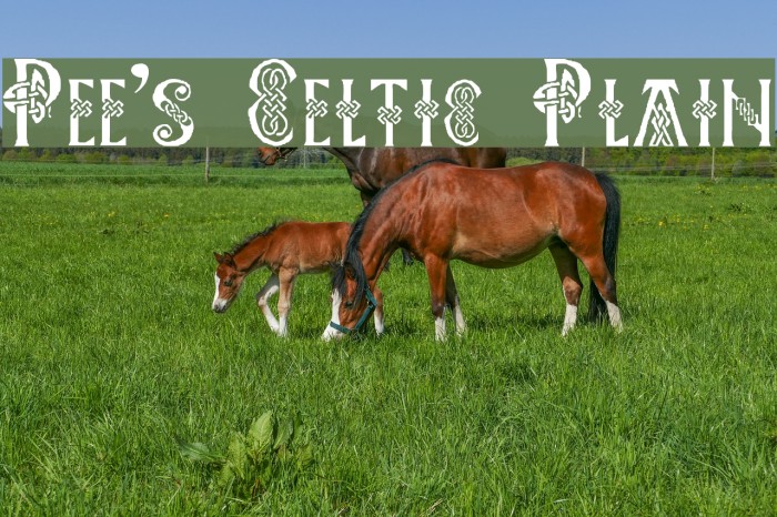 Pee's Celtic Plain Font examples