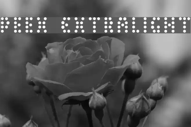 Peex ExtraLight Шрифта examples