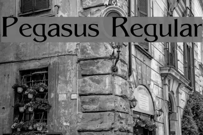 Pegasus Regular Font examples