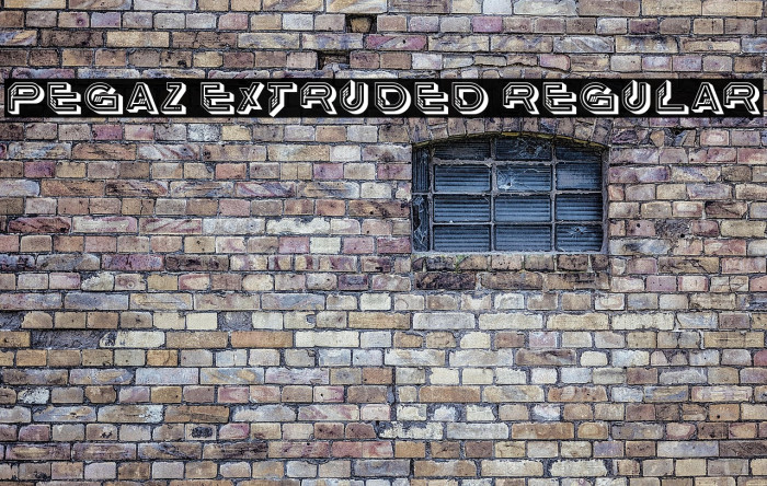 Pegaz Extruded Regular Example 2