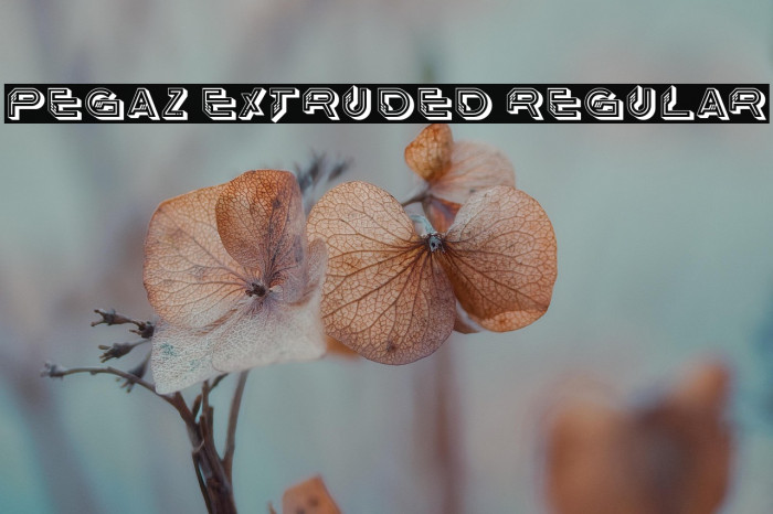 Pegaz Extruded Regular Example 3