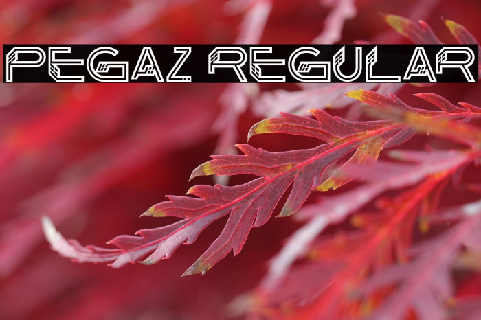 Pegaz Regular Example 1