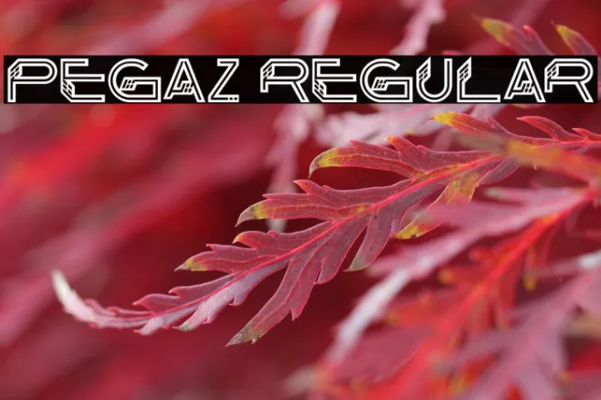 Pegaz Regular Example 1