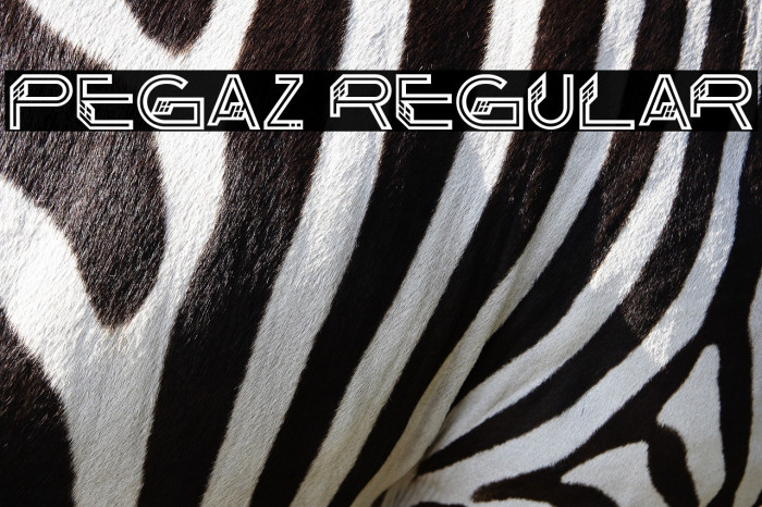 Pegaz Regular Example 2