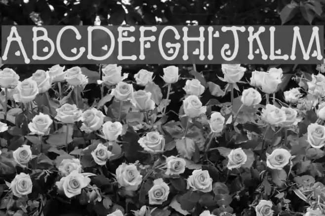 PeggyFont Bold Caratteri examples