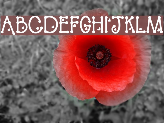 PeggyFont Bold Caratteri examples