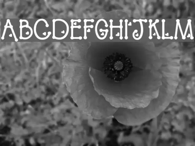 PeggyFont Bold Caratteri examples