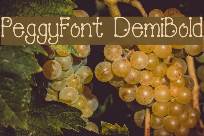 PeggyFont DemiBold Font examples