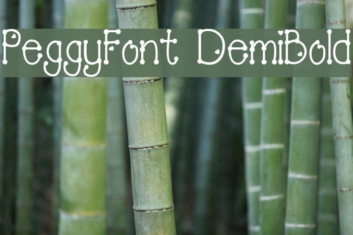 PeggyFont DemiBold Font examples