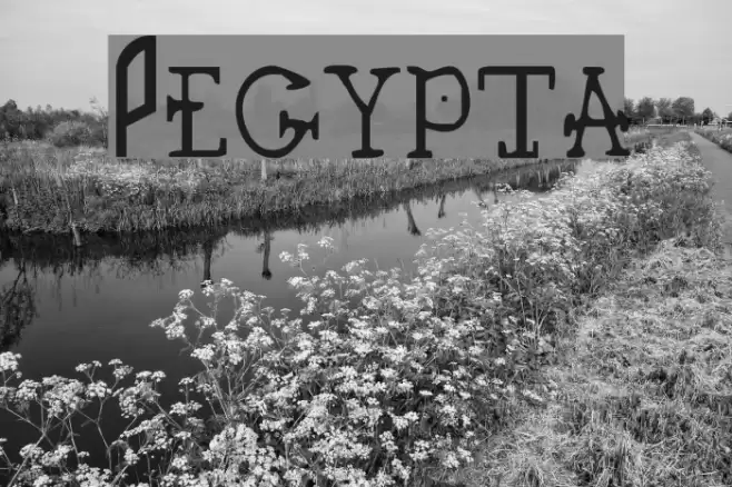 Pegypta Font examples