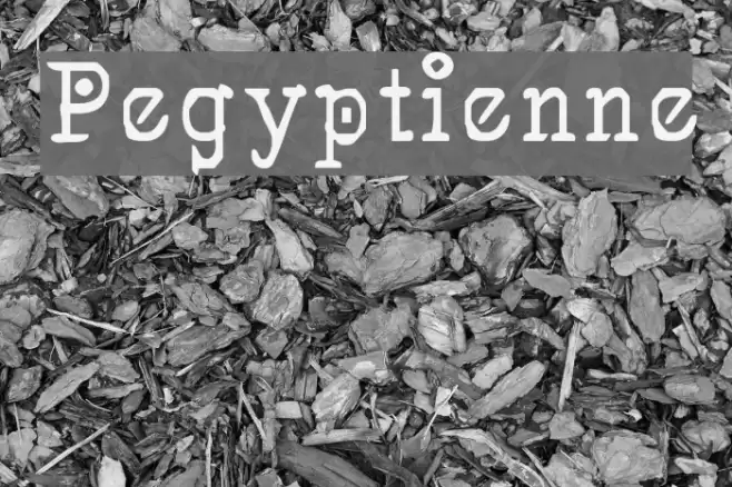 Pegyptienne Font examples