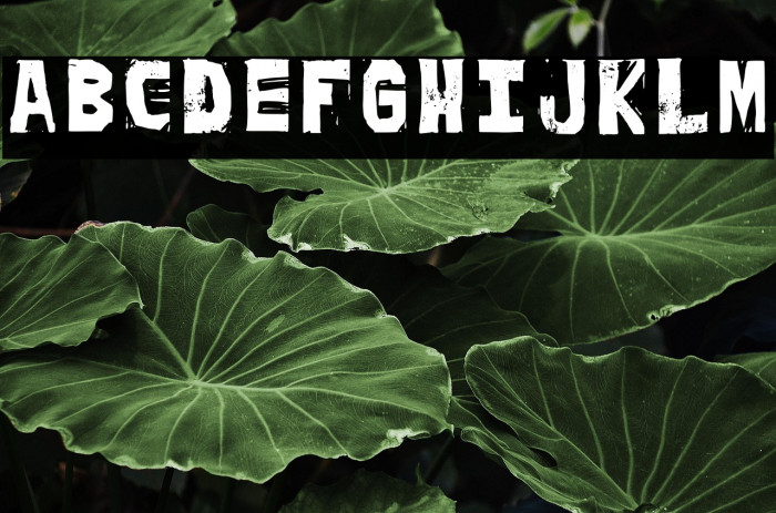 Peich Regular Example 1