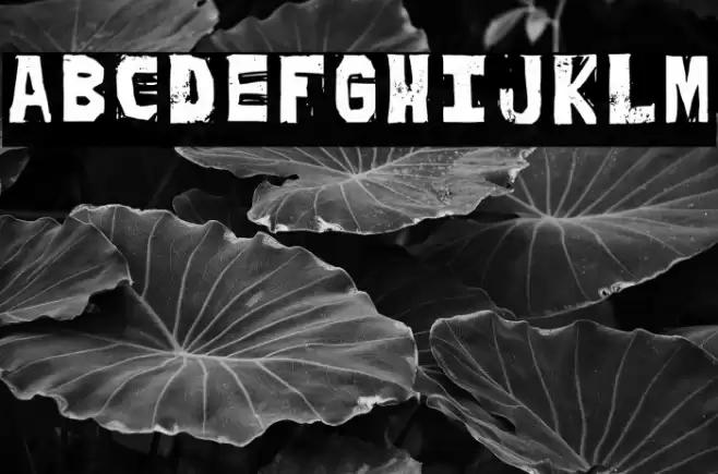 Peich Regular フォント examples