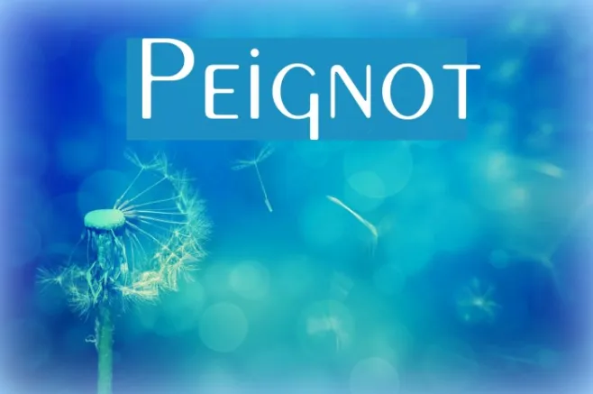 Peignot Example 2