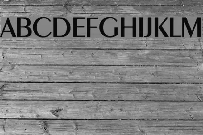 Peinaud Medium Font examples