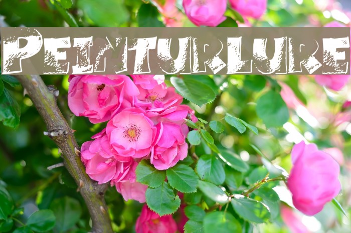 Peinturlure Font examples