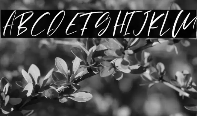 Pejuang Cinta Font examples