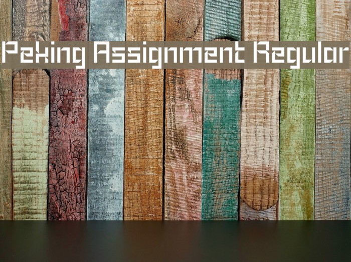Peking Assignment Regular Font examples