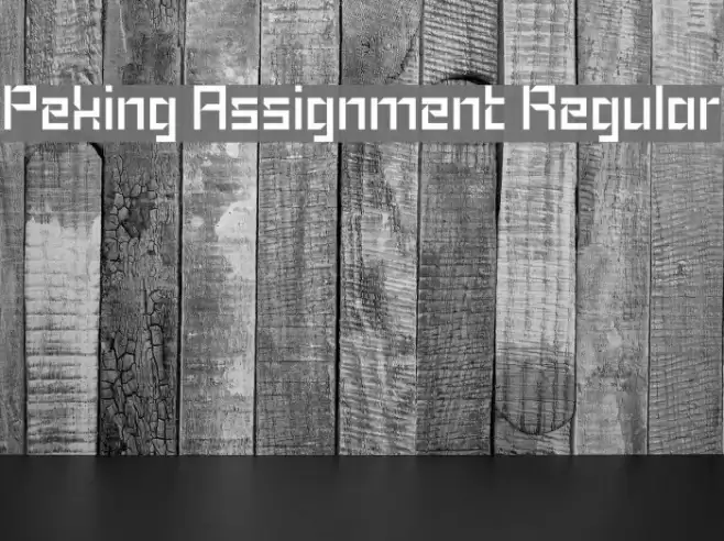 Peking Assignment Regular Font examples