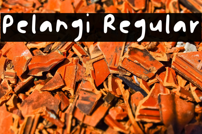 Pelangi Regular Example 2