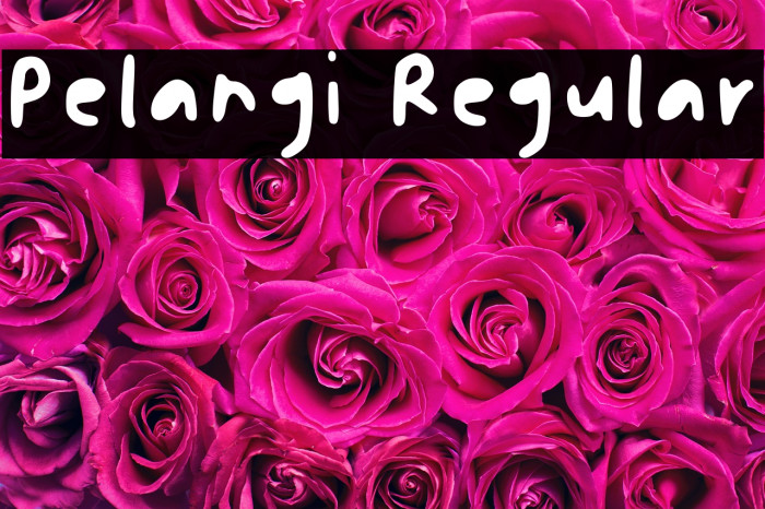 Pelangi Regular Example 3