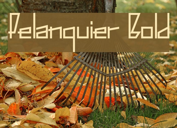Pelanquier Bold Font examples