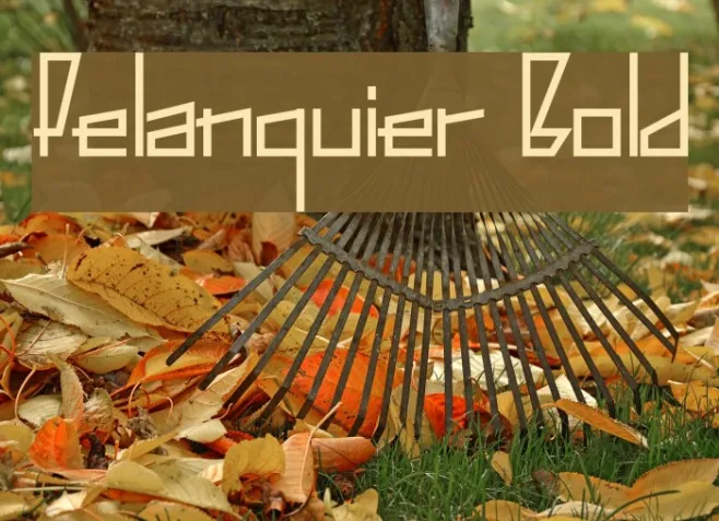 Pelanquier Bold Example 2