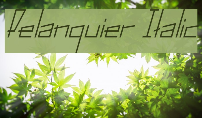 Pelanquier Italic Font examples