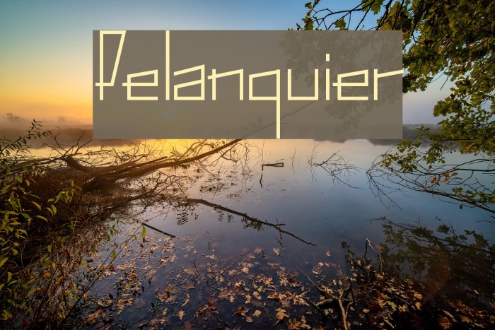 Pelanquier Example 1