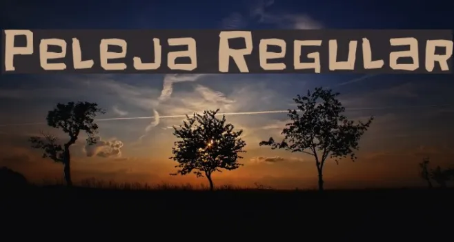 Peleja Regular Example 2
