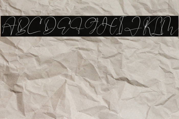 Pelgona Stilman Italic Example 1