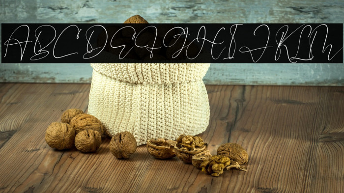 Pelgona Stilman Italic Example 2