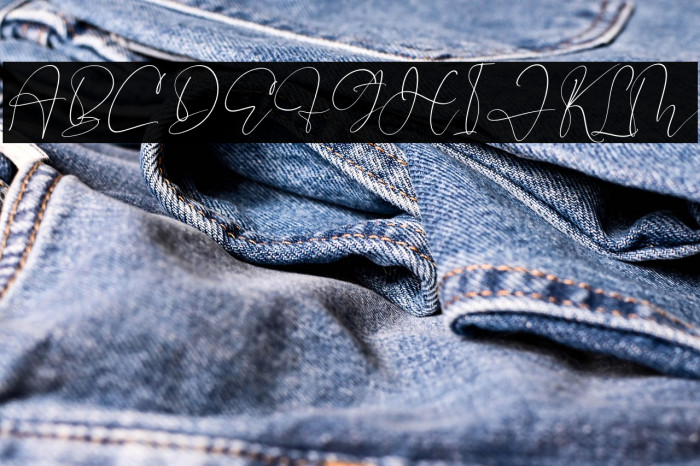 Pelgona Stilman Italic Example 3