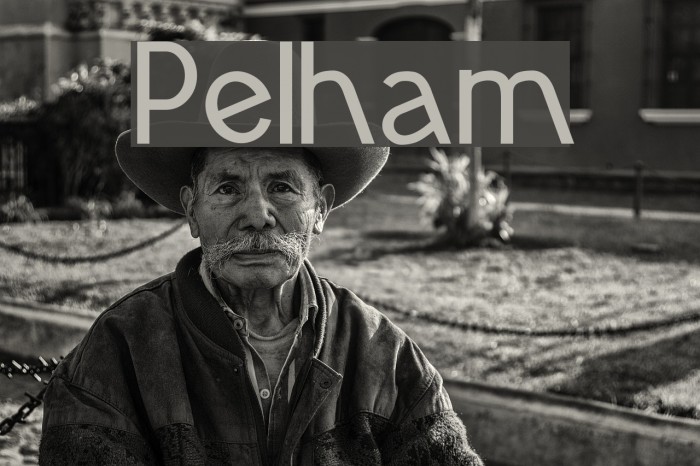 Pelham Font examples