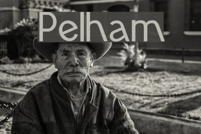 Pelham Example 1