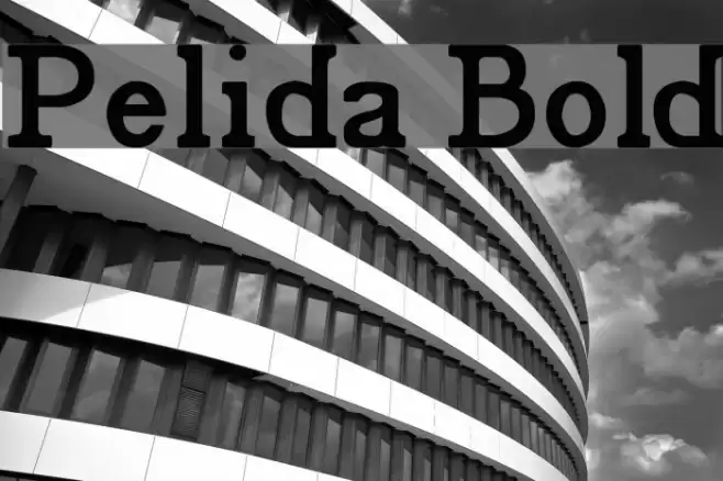 Pelida Bold Font examples