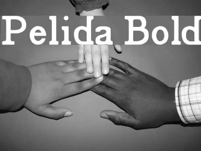 Pelida Bold Font examples