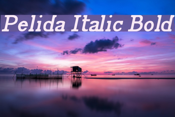 Pelida Italic Bold Font examples