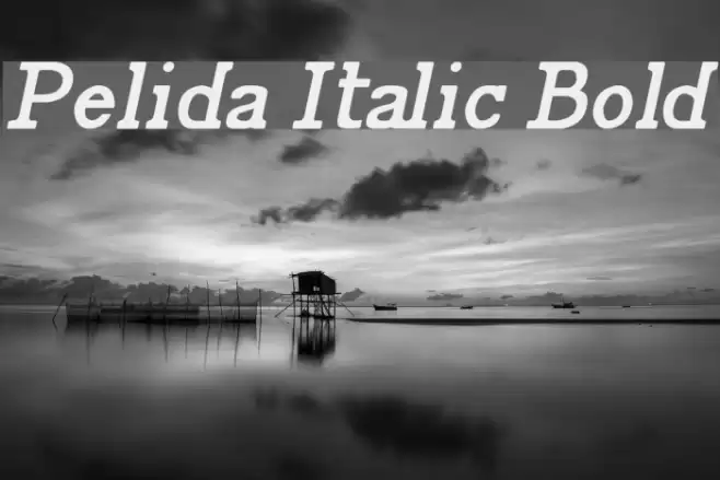 Pelida Italic Bold Font examples