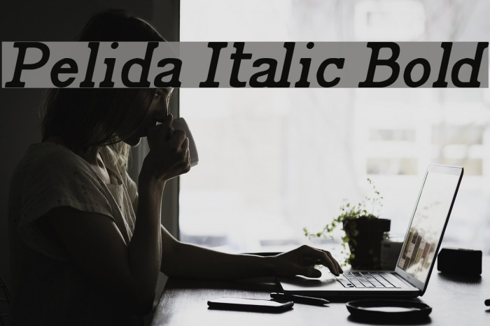 Pelida Italic Bold Font examples