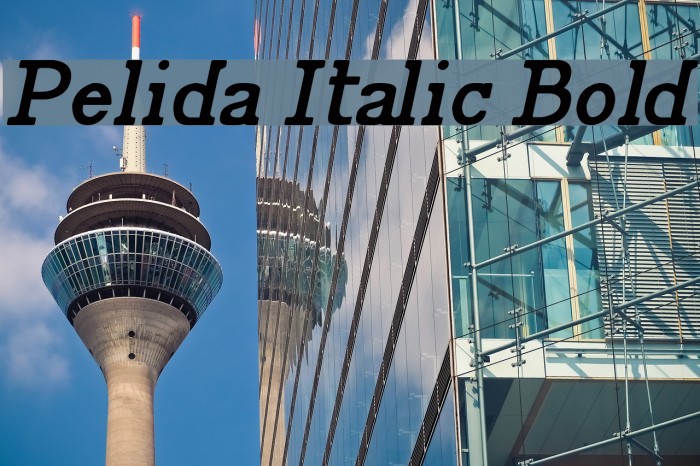 Pelida Italic Bold Font examples