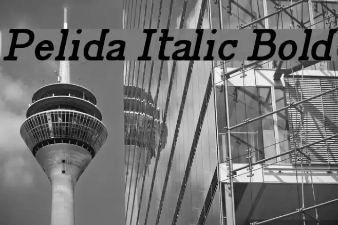 Pelida Italic Bold Font examples