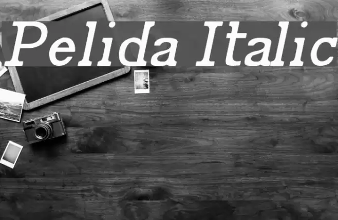 Pelida Italic Font examples