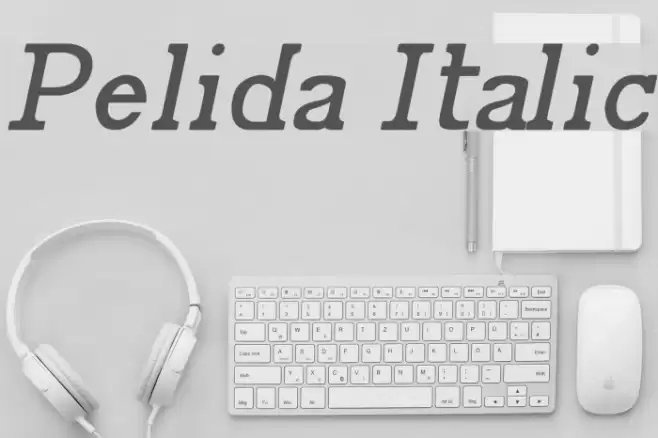 Pelida Italic Font examples