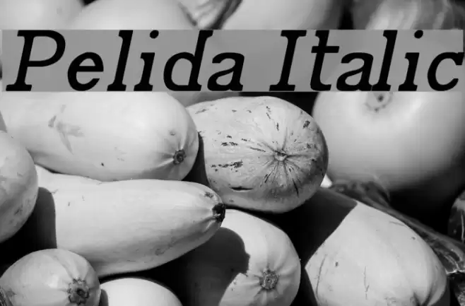 Pelida Italic Font examples